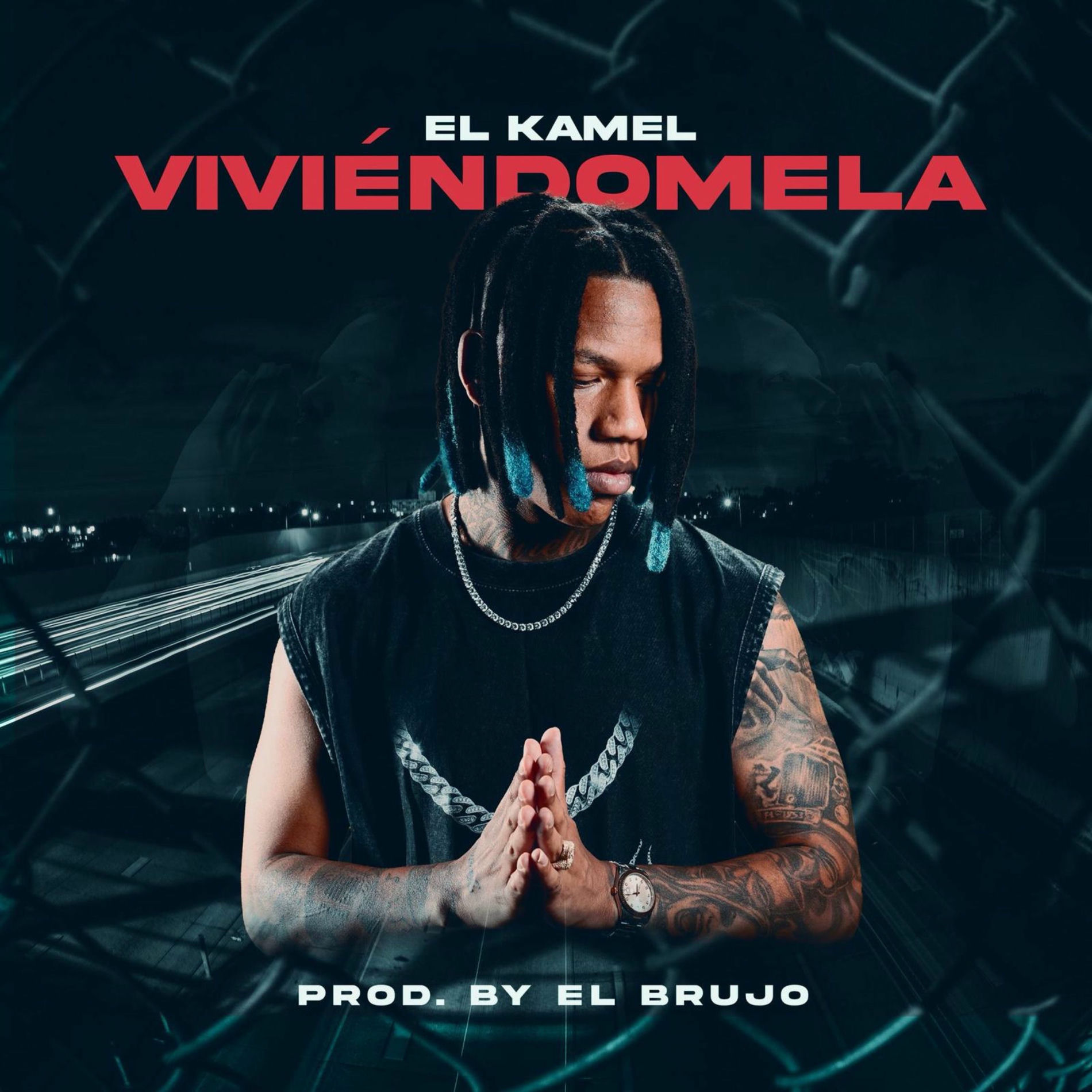 Album cover of Viviendola