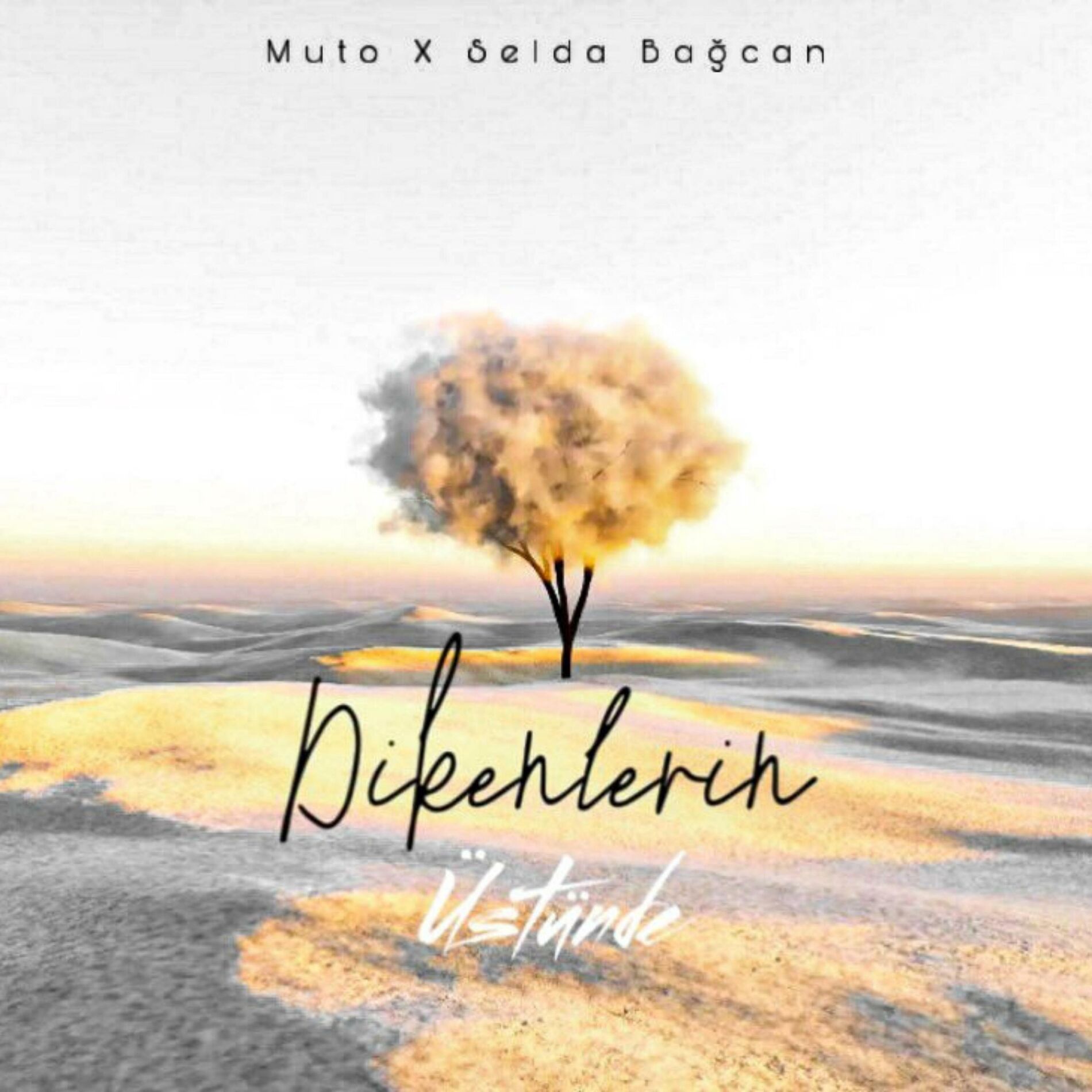 Album cover of Dikenlerin Üstünde (feat. Selda Bağcan)