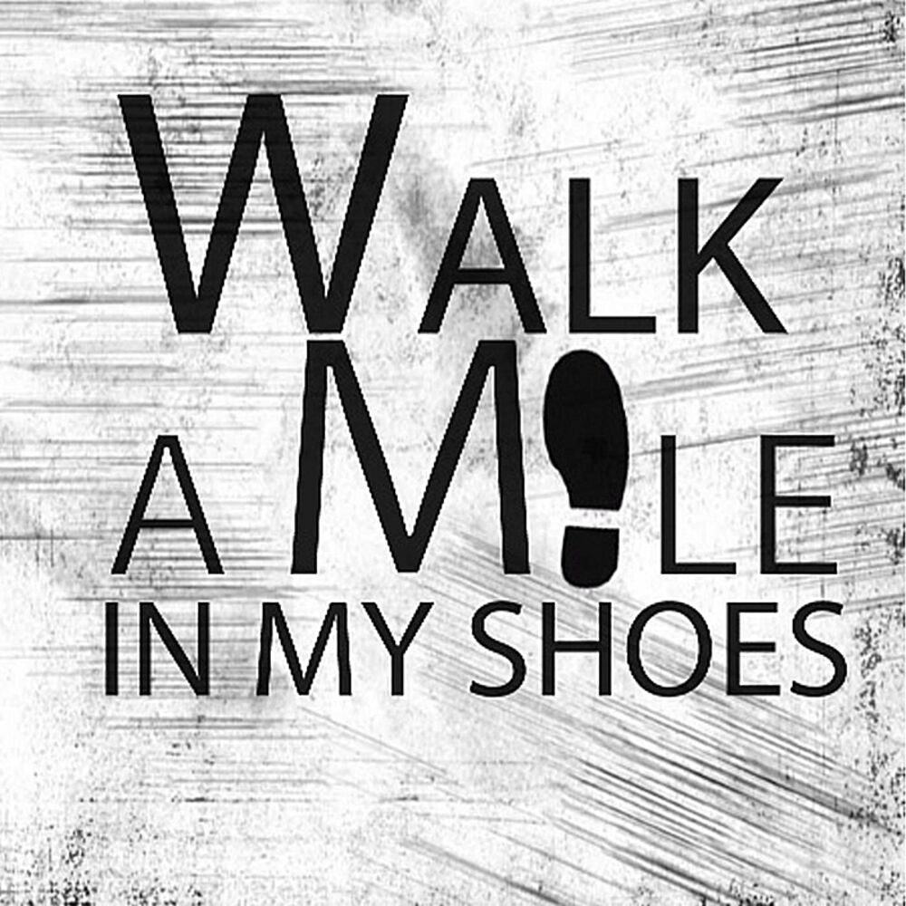 Picture of Walk a Mile in My Shoes