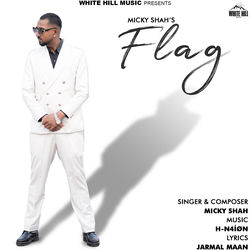 Cover of Flag by undefined