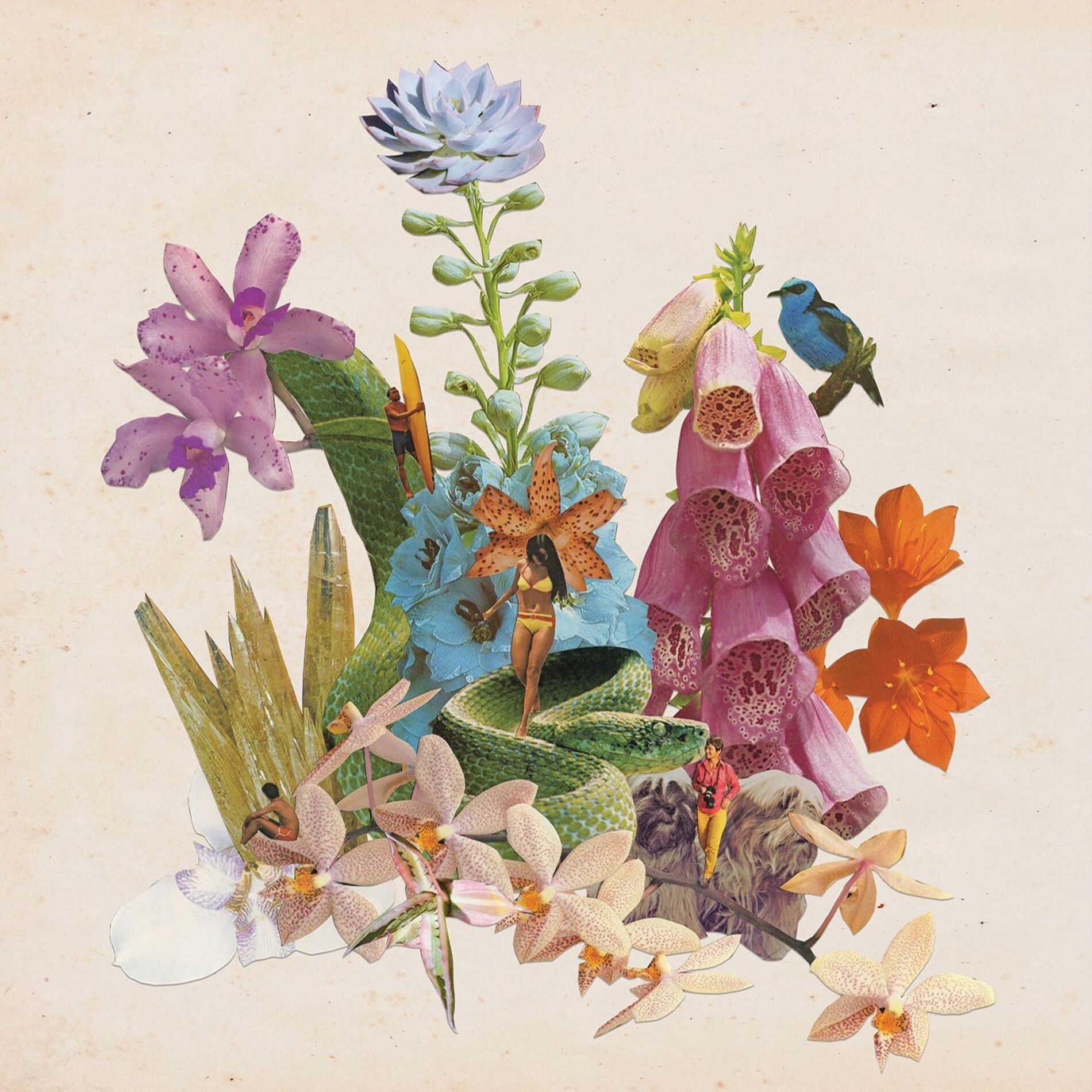 Album cover of Washed Ashore