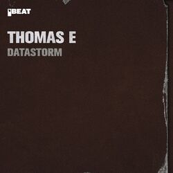Cover of Datastorm