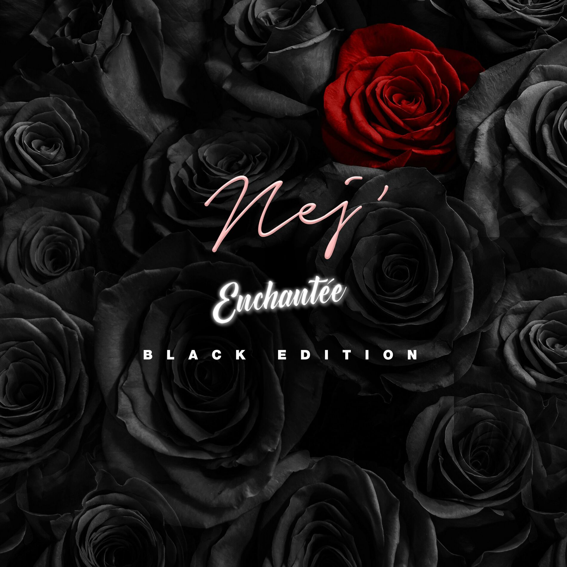 Album cover of Indomptable
