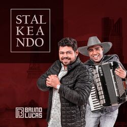 Cover of Stalkeando