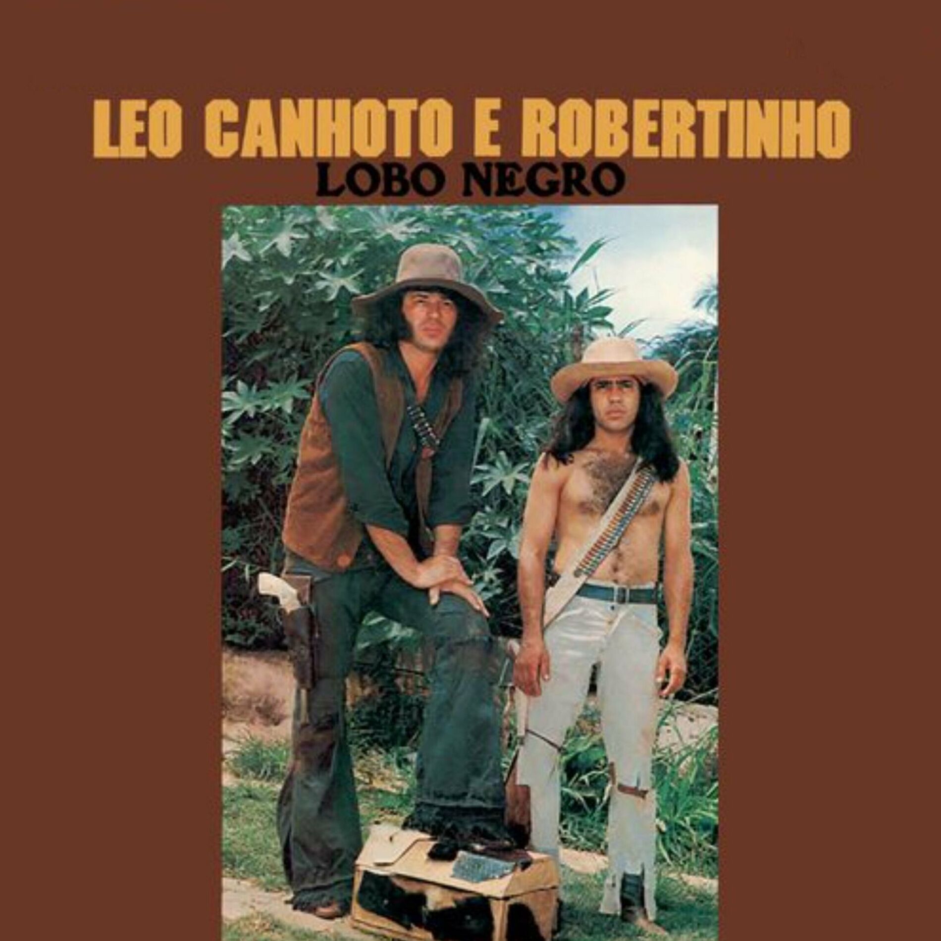 Album cover of Lobo Negro