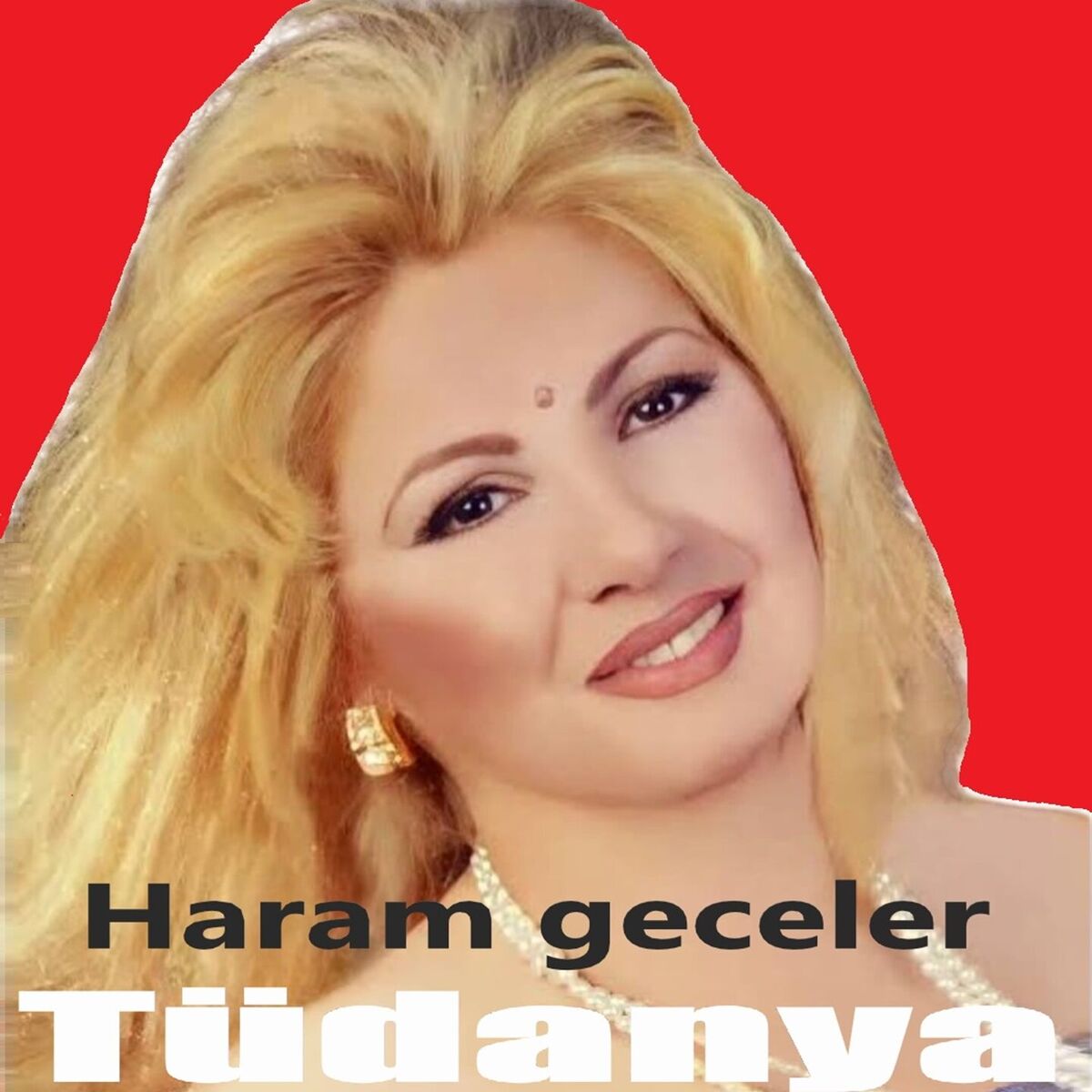 Album cover of Haram Geceler