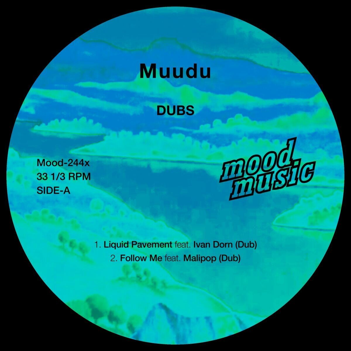 Album cover of DUBS