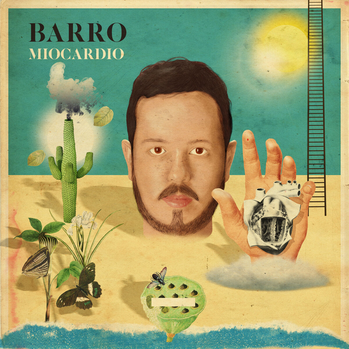 Album cover of Vai
