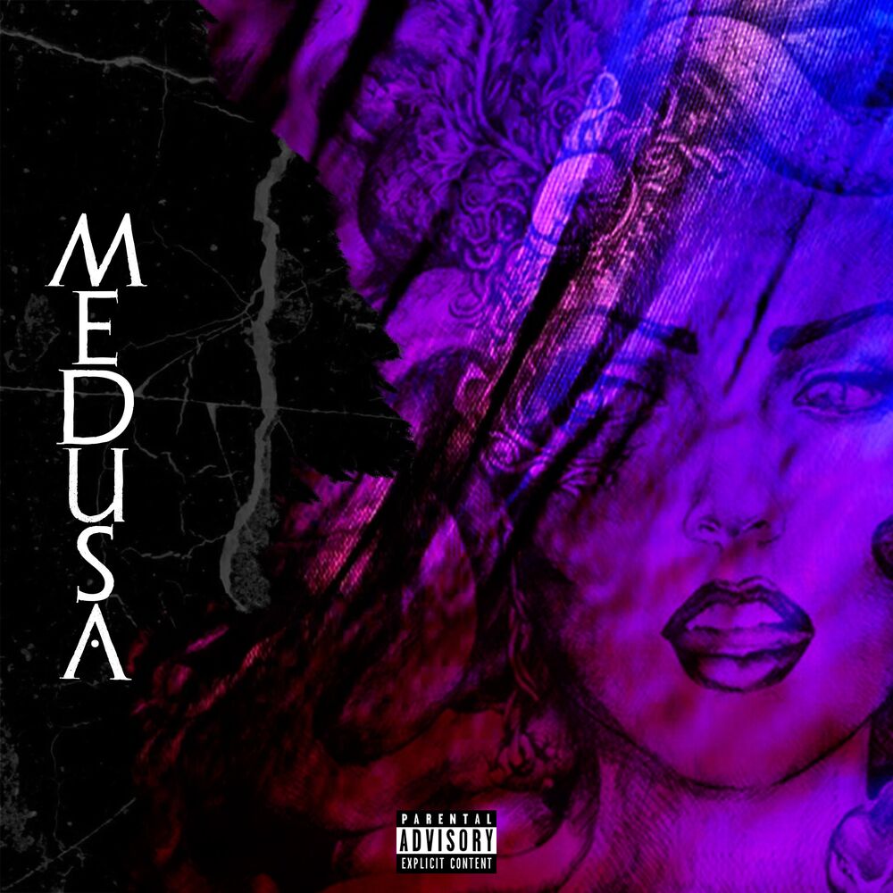 Picture of Medusa