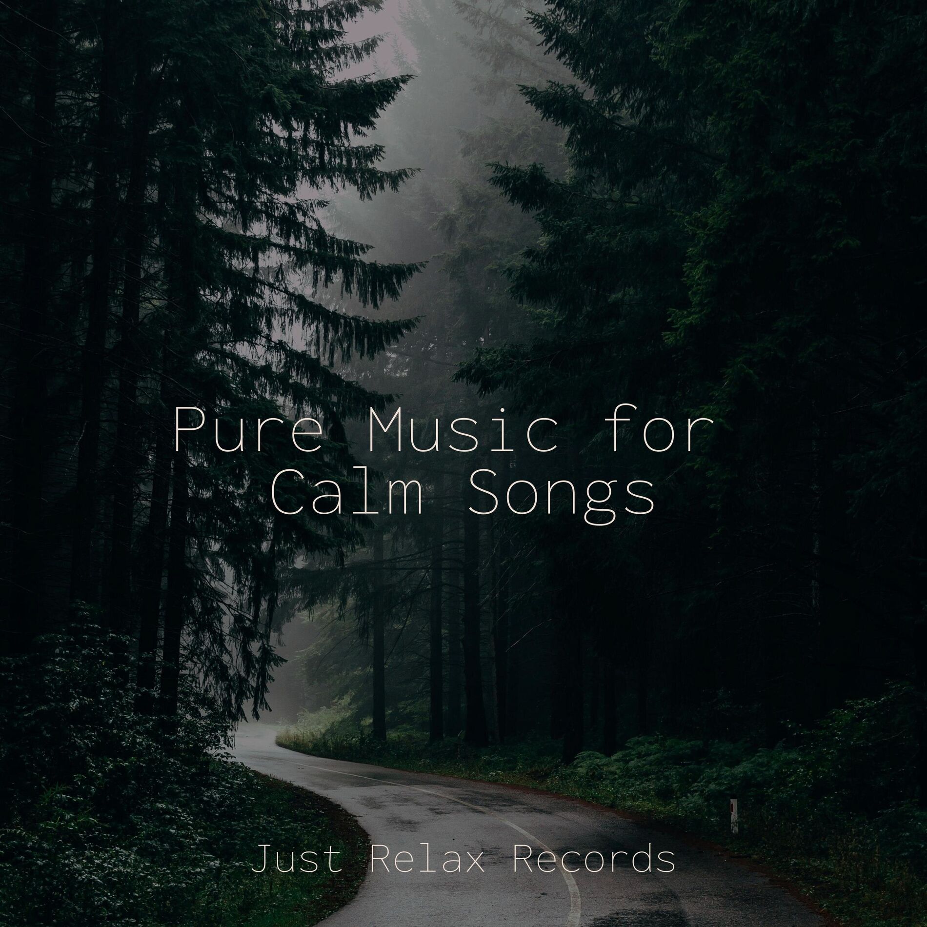 Album cover of Pure Music for Calm Songs