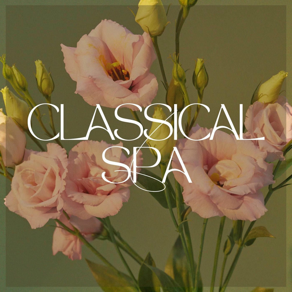 Album cover of Classical Spa - Massage Music