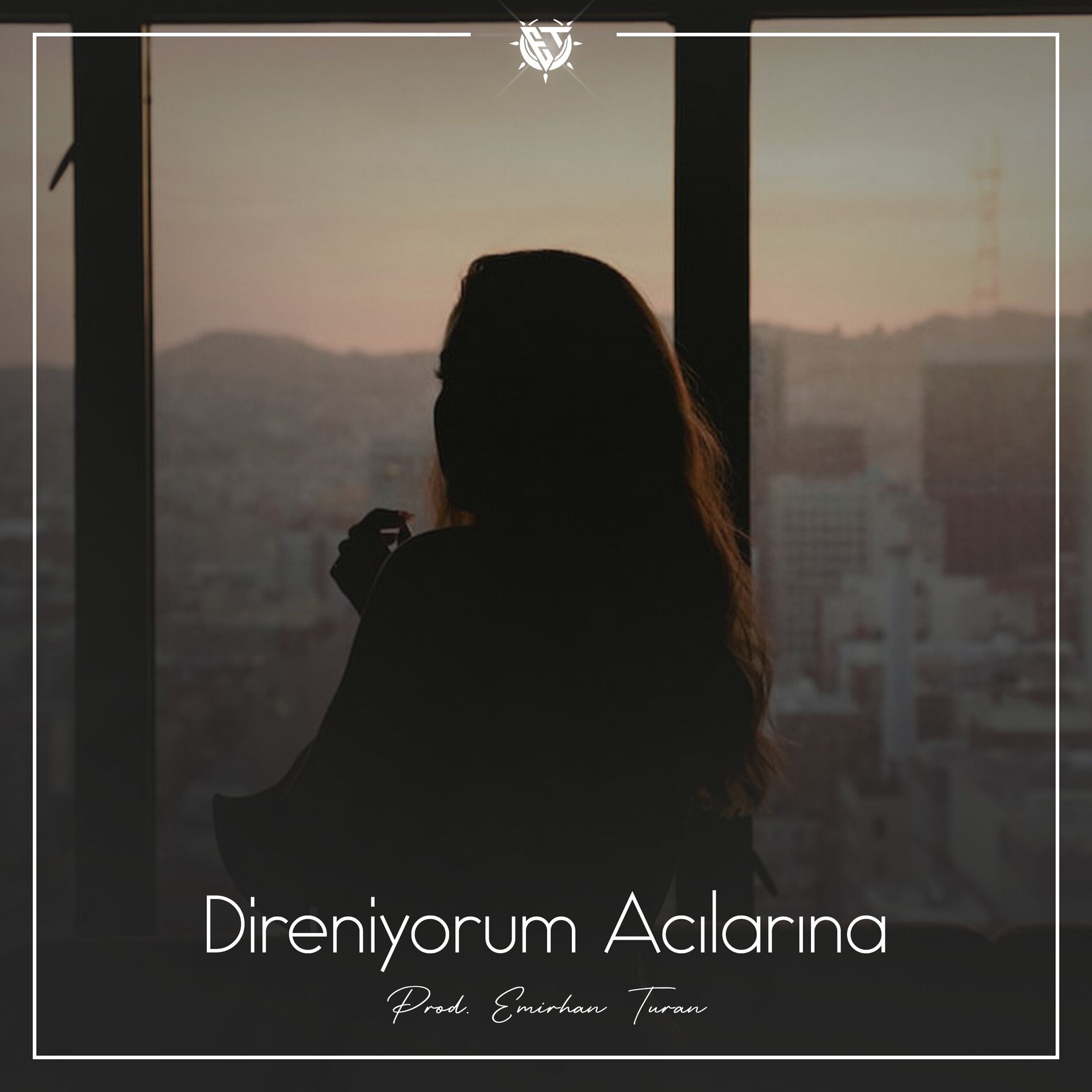 Album cover of Direniyorum Acılarına