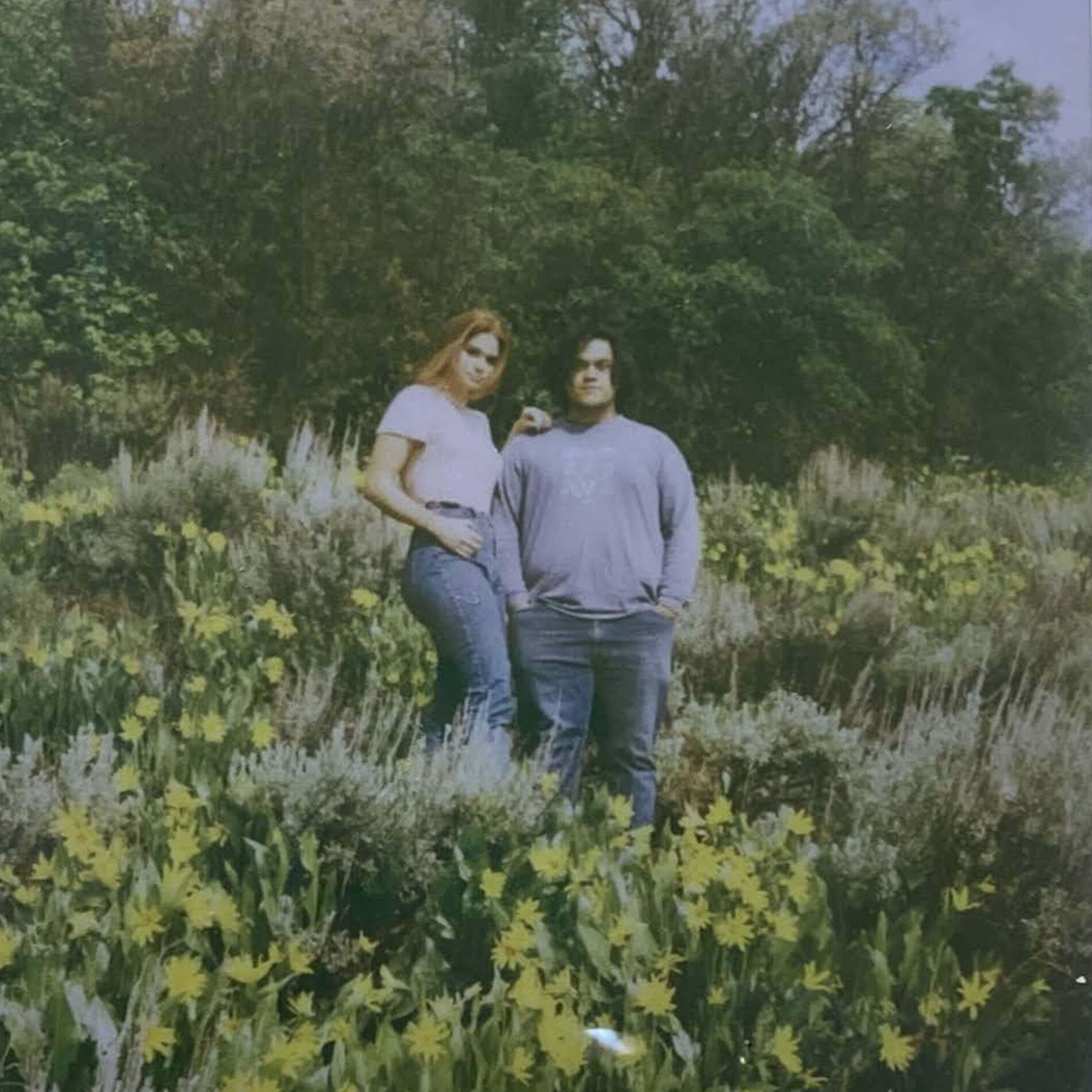 Album cover of pocket of the woods