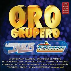 Cover of Oro Grupero