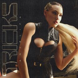 Cover of Tricks