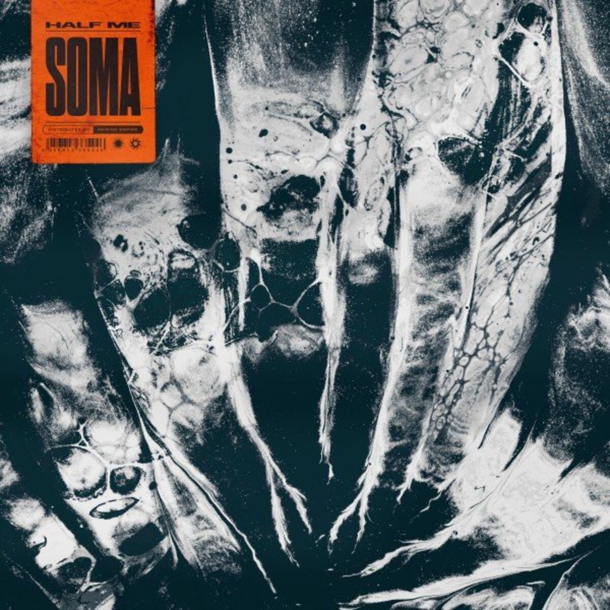 Album cover of Distort