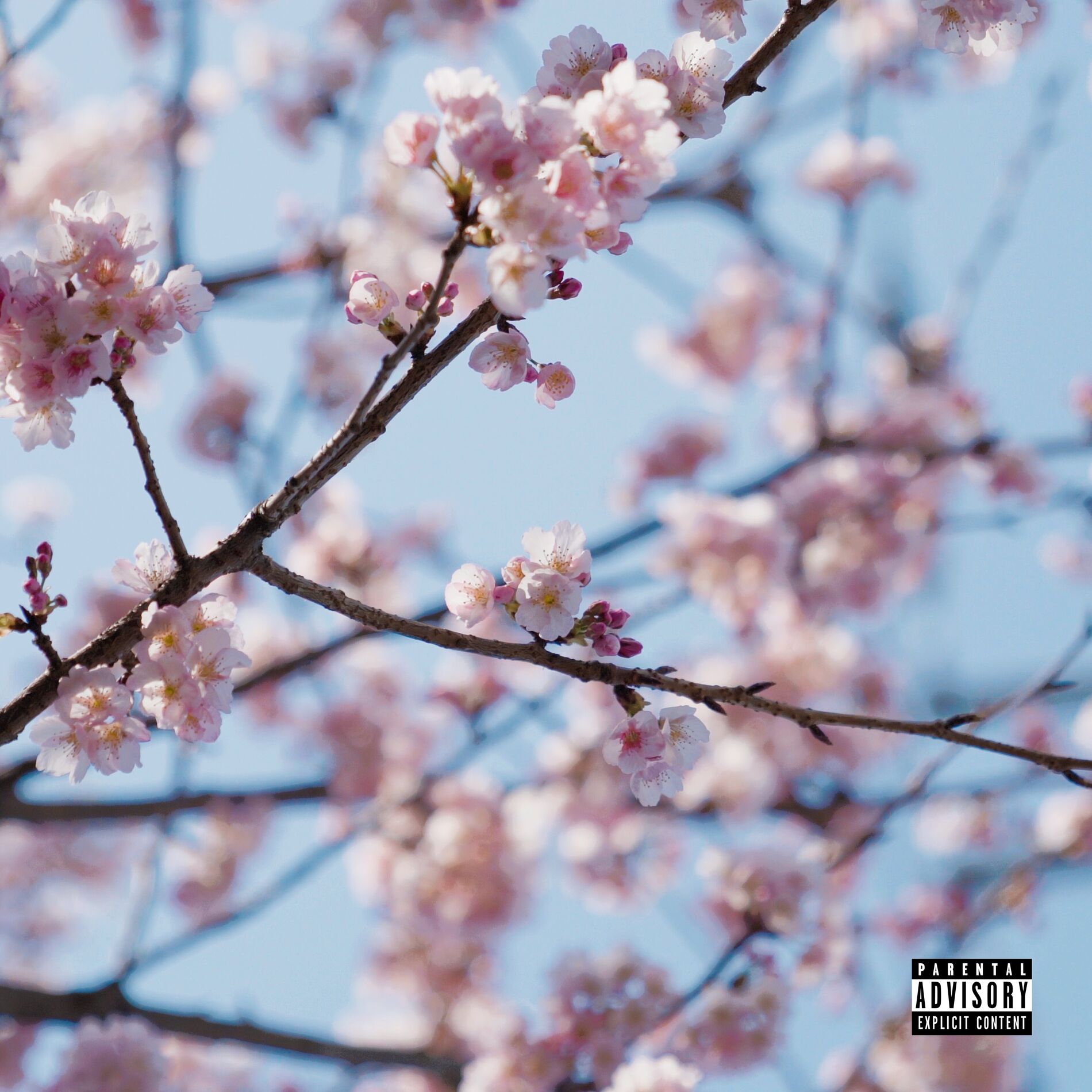Album cover of Stay alive (feat. SHOKI)