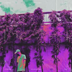 Cover of 9119