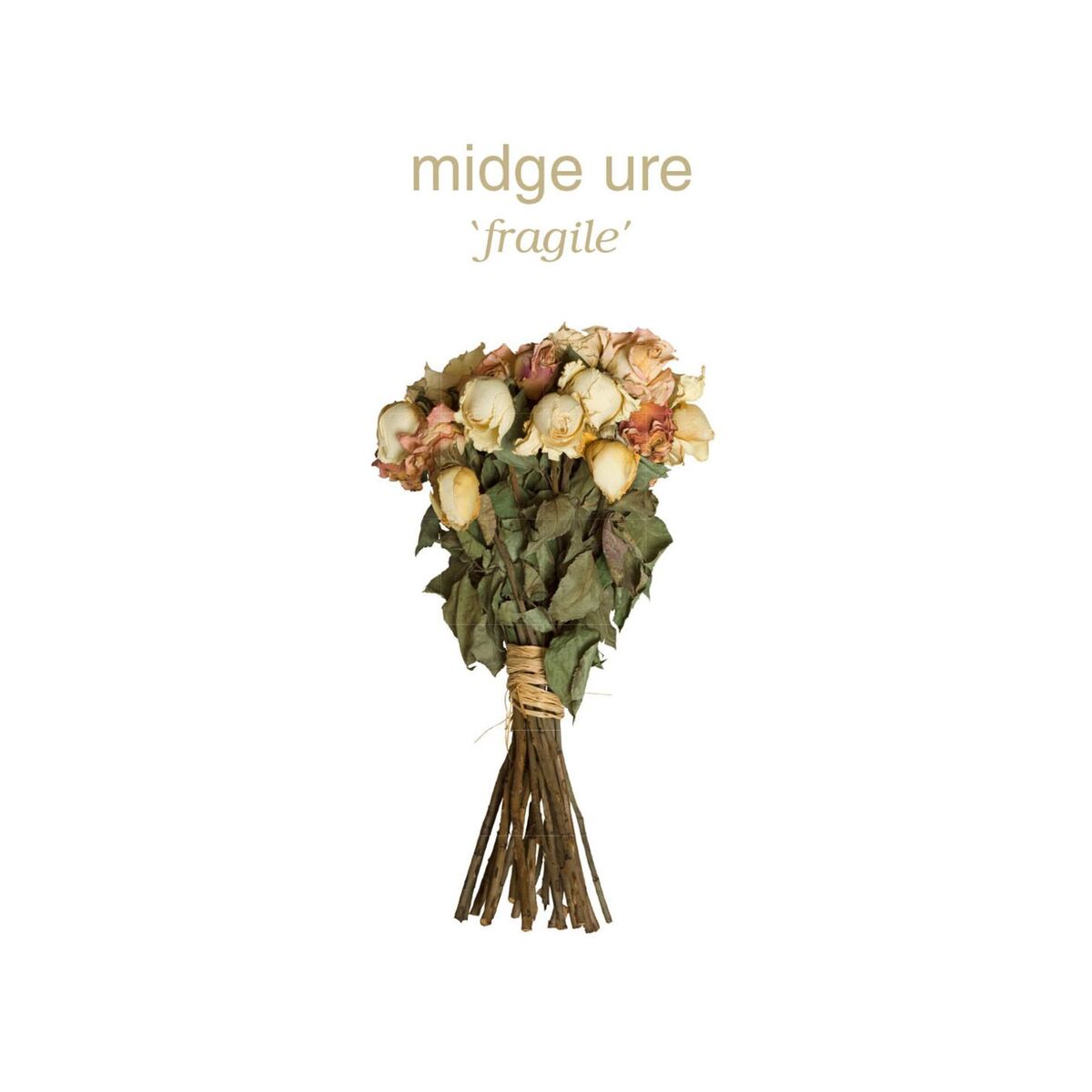 Album cover of Fragile