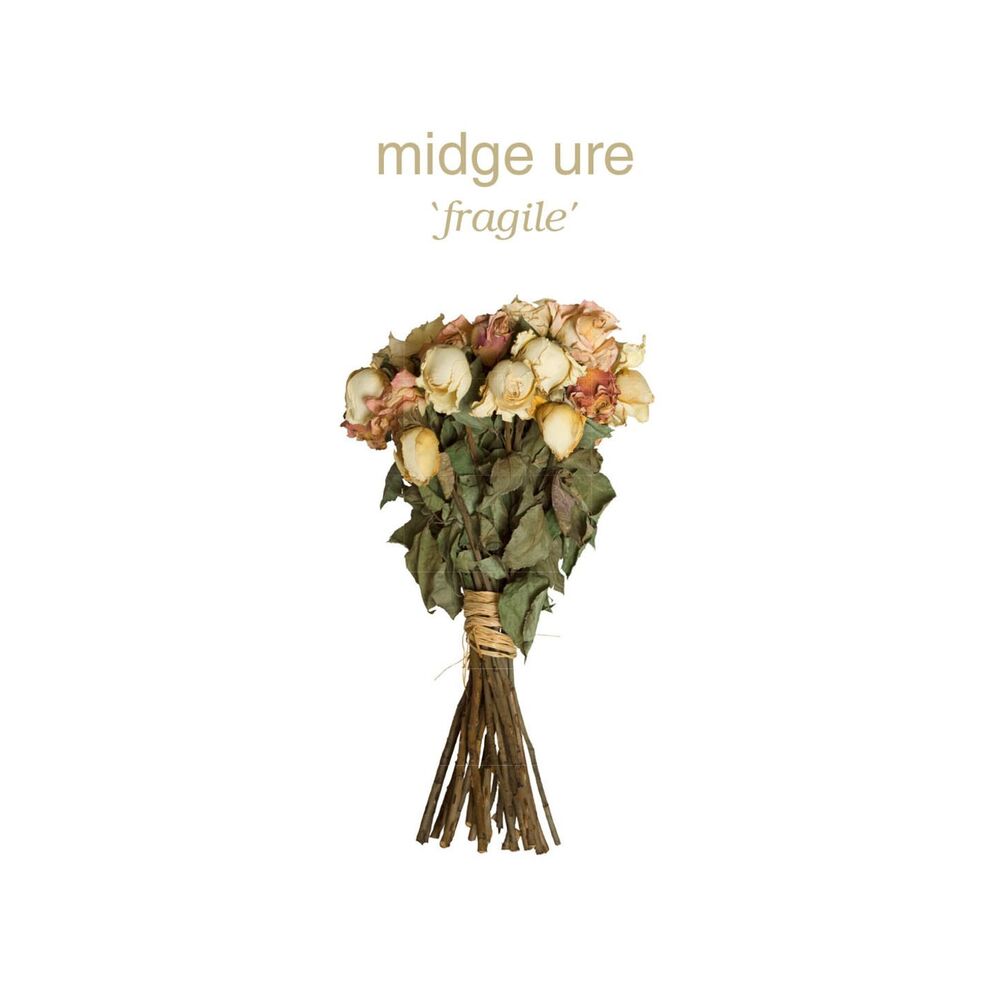 Picture of Fragile