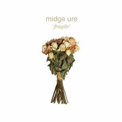 Cover of Fragile
