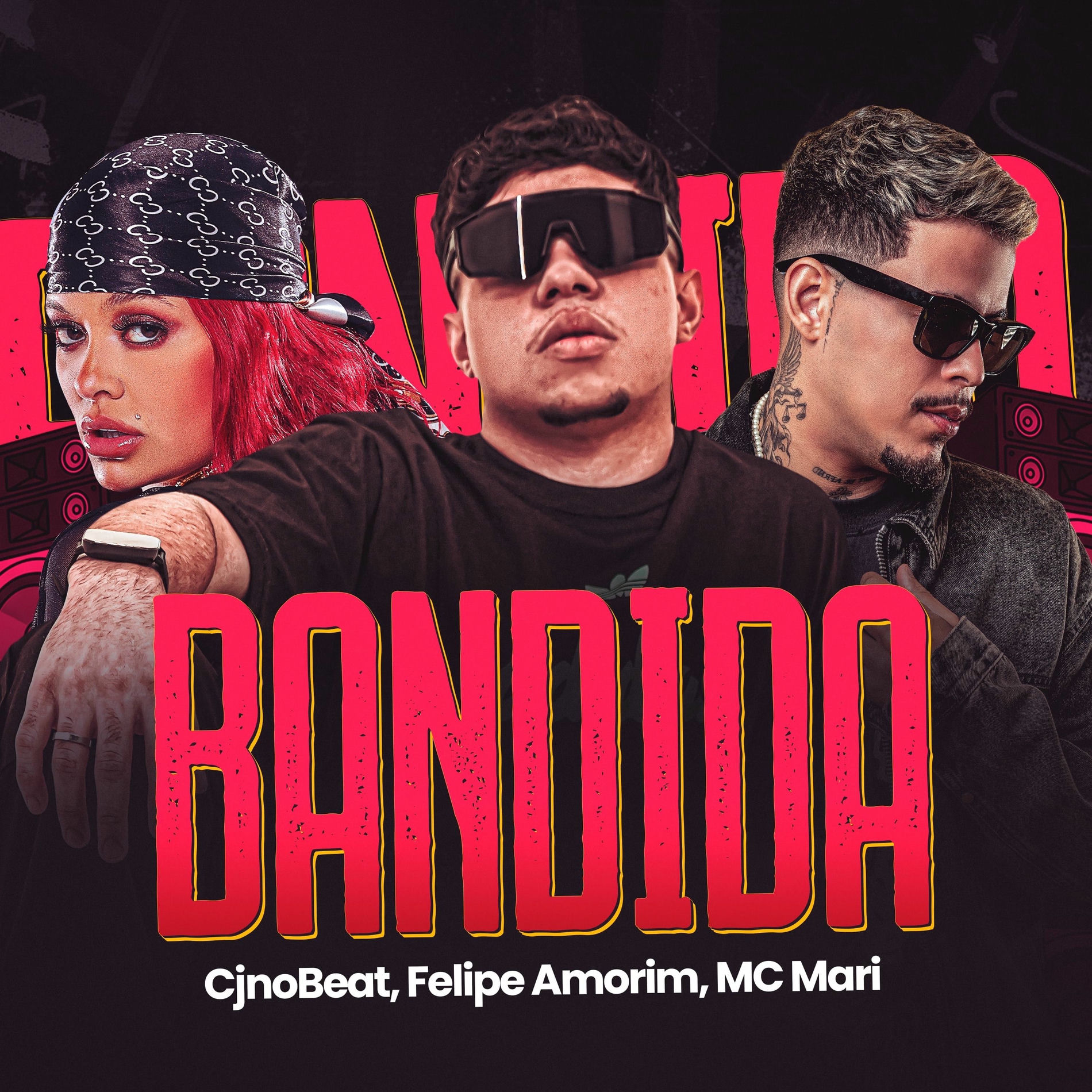 Album cover of Bandida