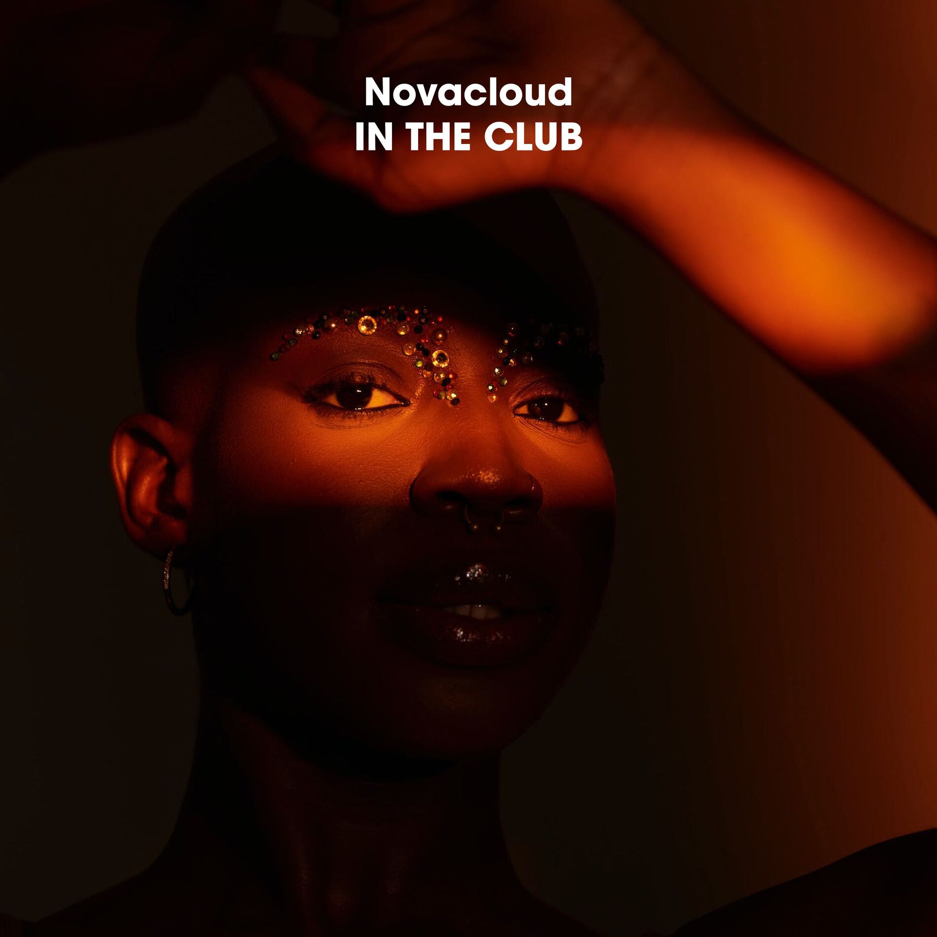 Album cover of In the Club