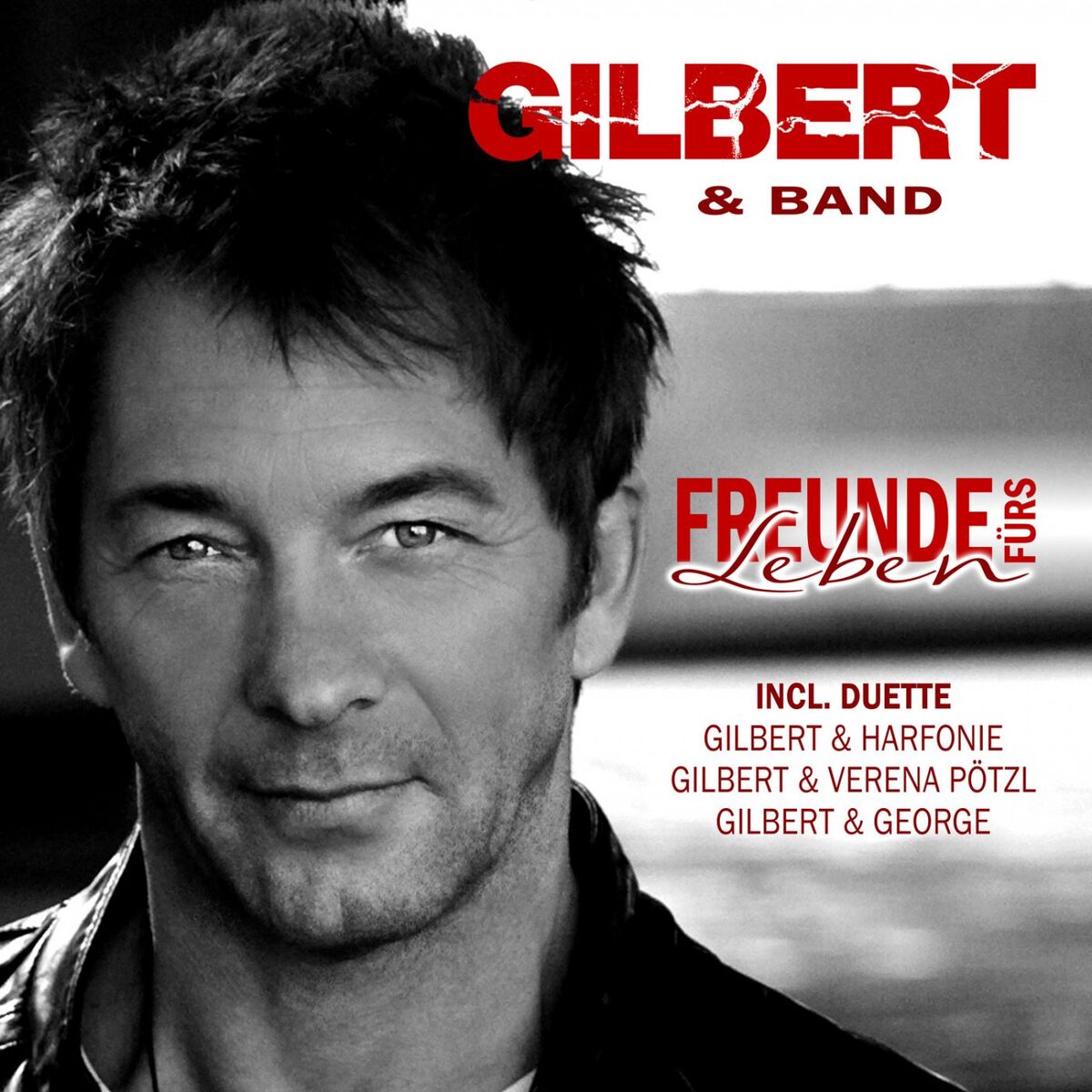 Album cover of Freunde fürs Leben