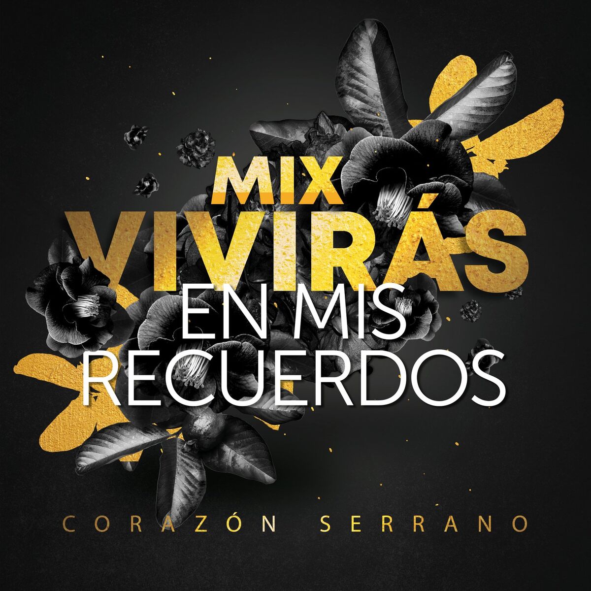 Album cover of Mix Vivirás en Mis Recuerdos (En Vivo)