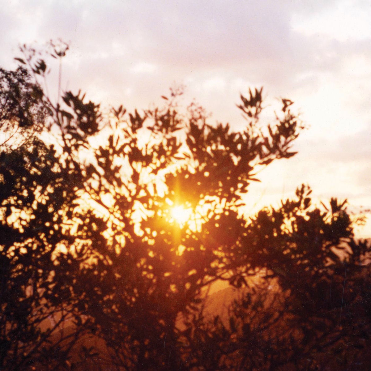 Album cover of classic love