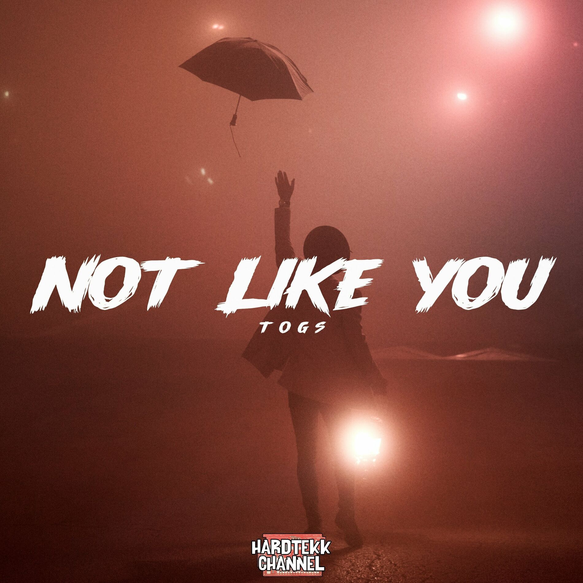 Album cover of Not Like You