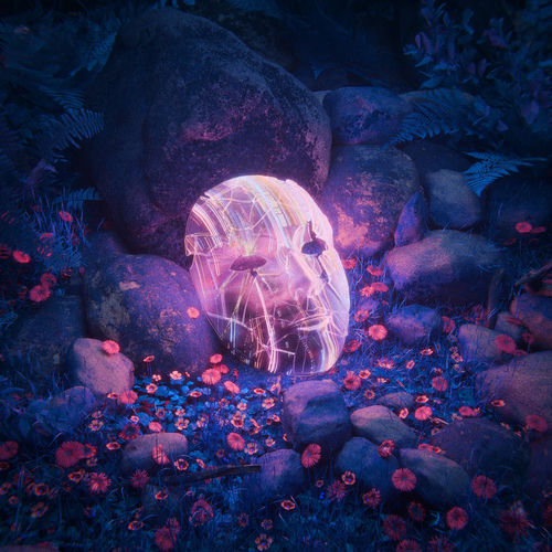 Mask of Glass