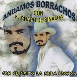 Cover of Andamos Borrachos