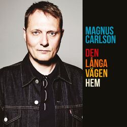 Cover of Den långa vägen hem