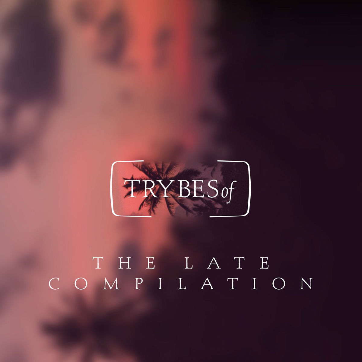 Album cover of The Late Compilation