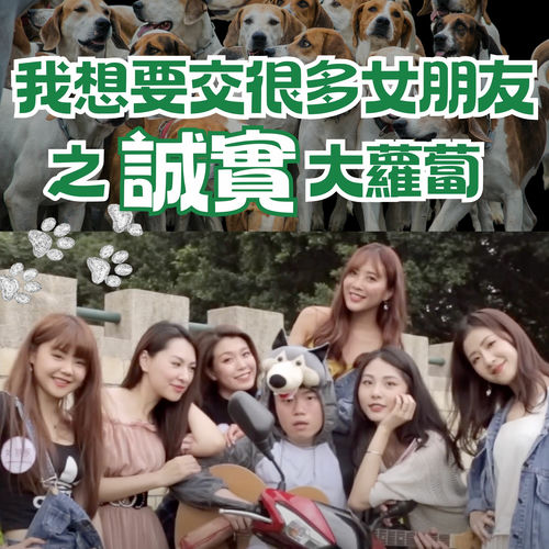 我想要交很多女朋友之誠實大蘿蔔