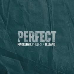 Cover of Perfect