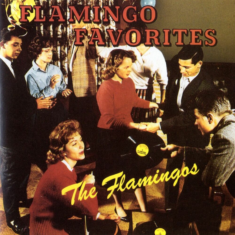 Picture of Flamingo Favorites