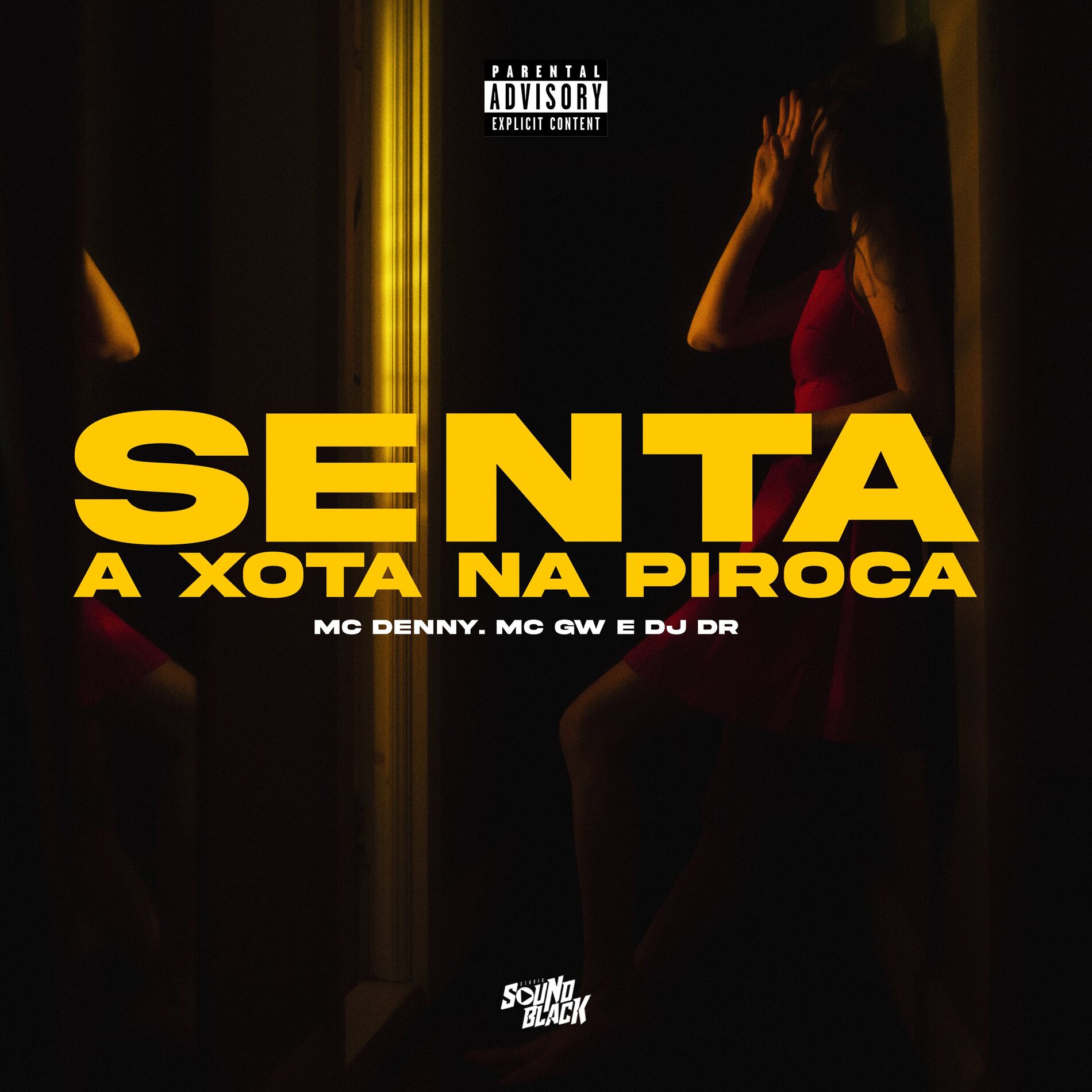Album cover of Sexta a Xota na Piroca