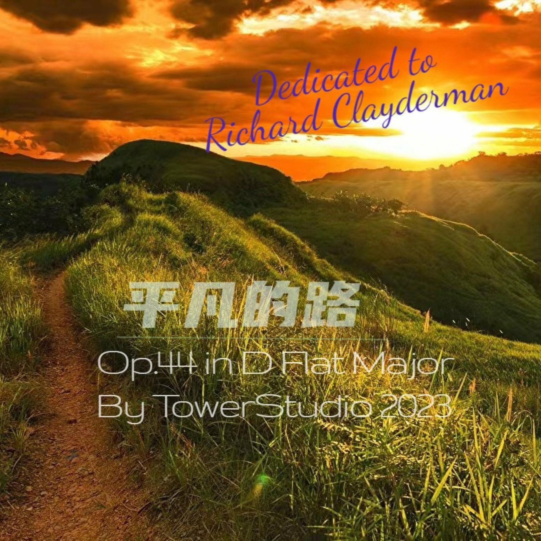 Album cover of 平凡的路