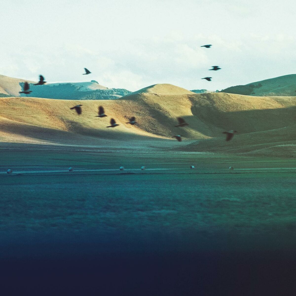Album picture of Respiro 1