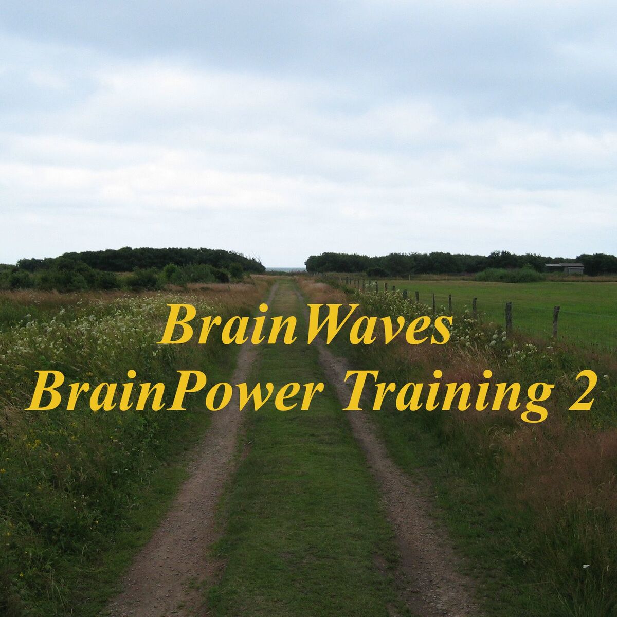 Album cover of BrainWaves BrainPower Training 2