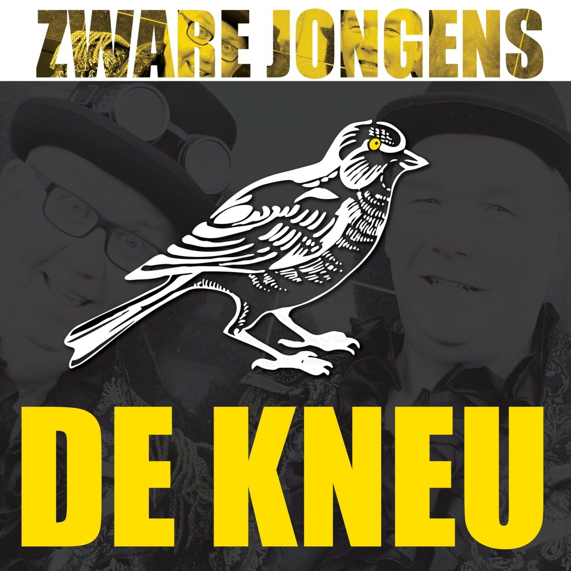 Album cover of De Kneu