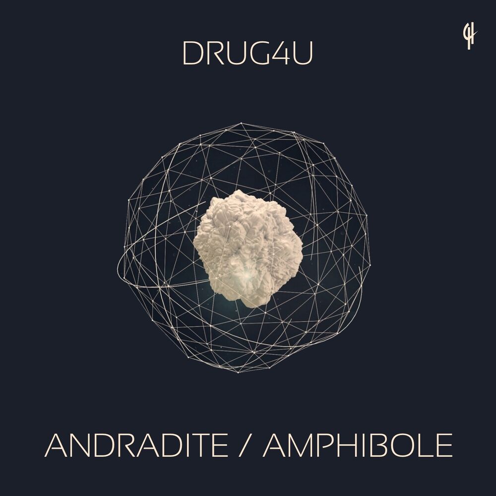 Picture of Andradite / Amphibole