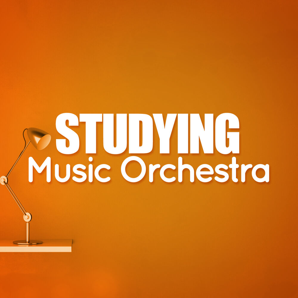 Picture of Studying Music Orchestra