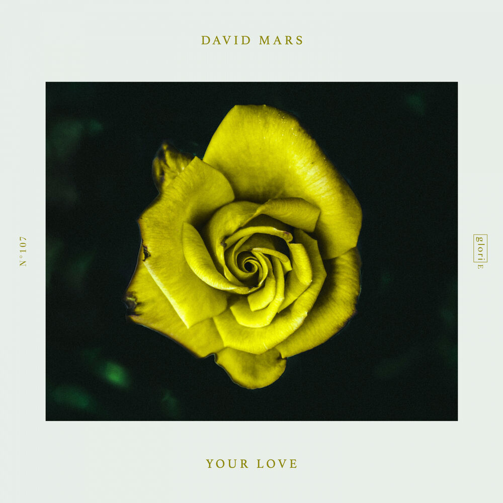 Picture of Your Love