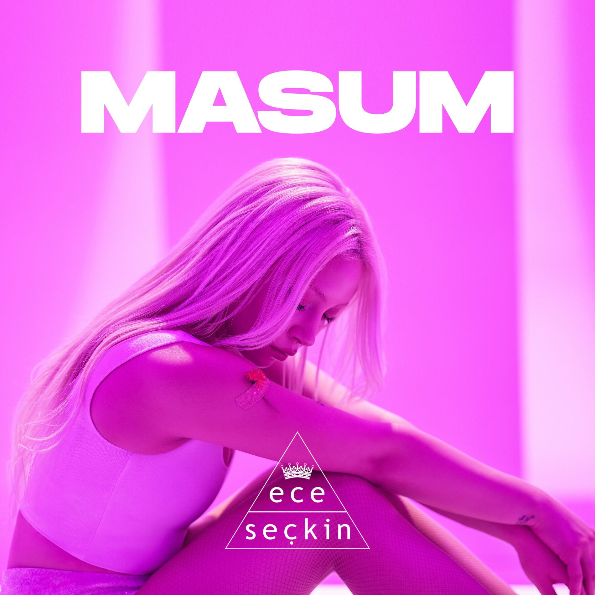 Album cover of Masum