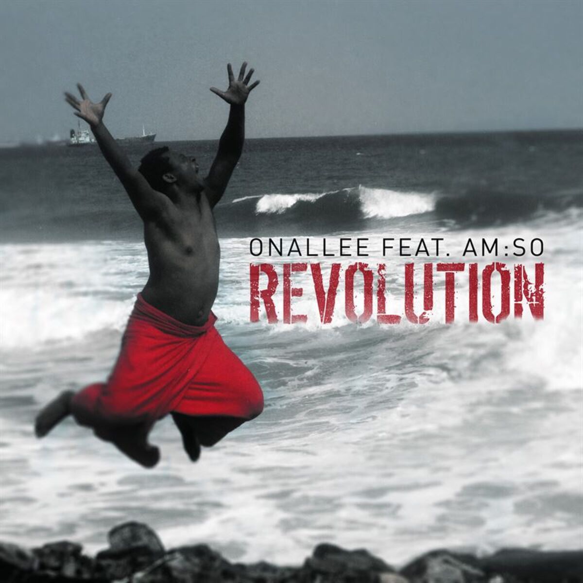 Album cover of Revolution (feat. Am:So)