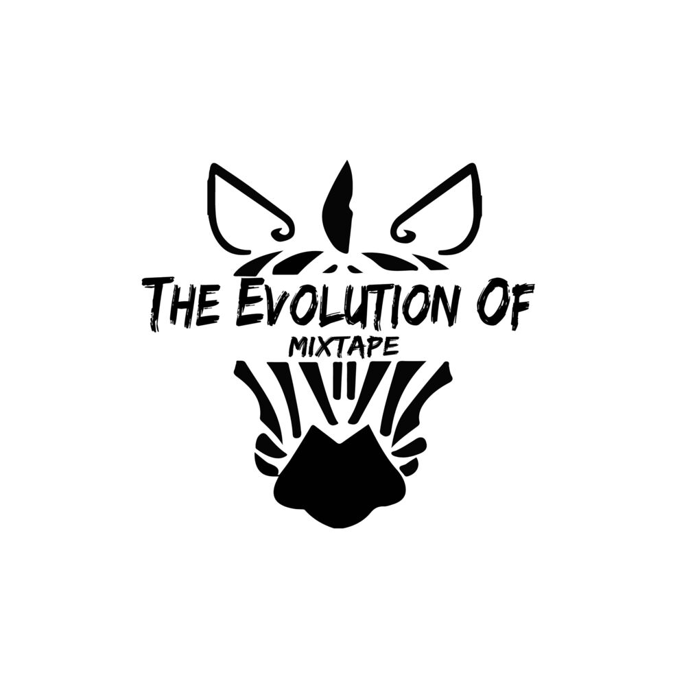 Picture of The Evolution of Mixtape