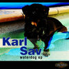 KARL SAV 2! - Soundfeer (On A plane To Prague rmx)